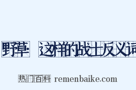 野草·这样的战士反义词是什么意思的图片